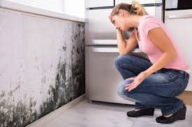 Reliable Church Hill, PA Mold Removal Solutions